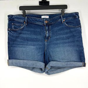 Loft Denim Shorts Size 20